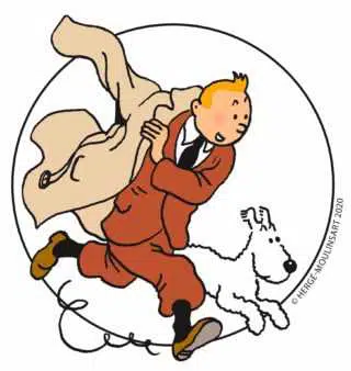 J'AVOUE Tintin-320x338.jpg