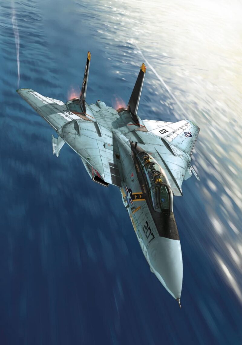 Tomcat